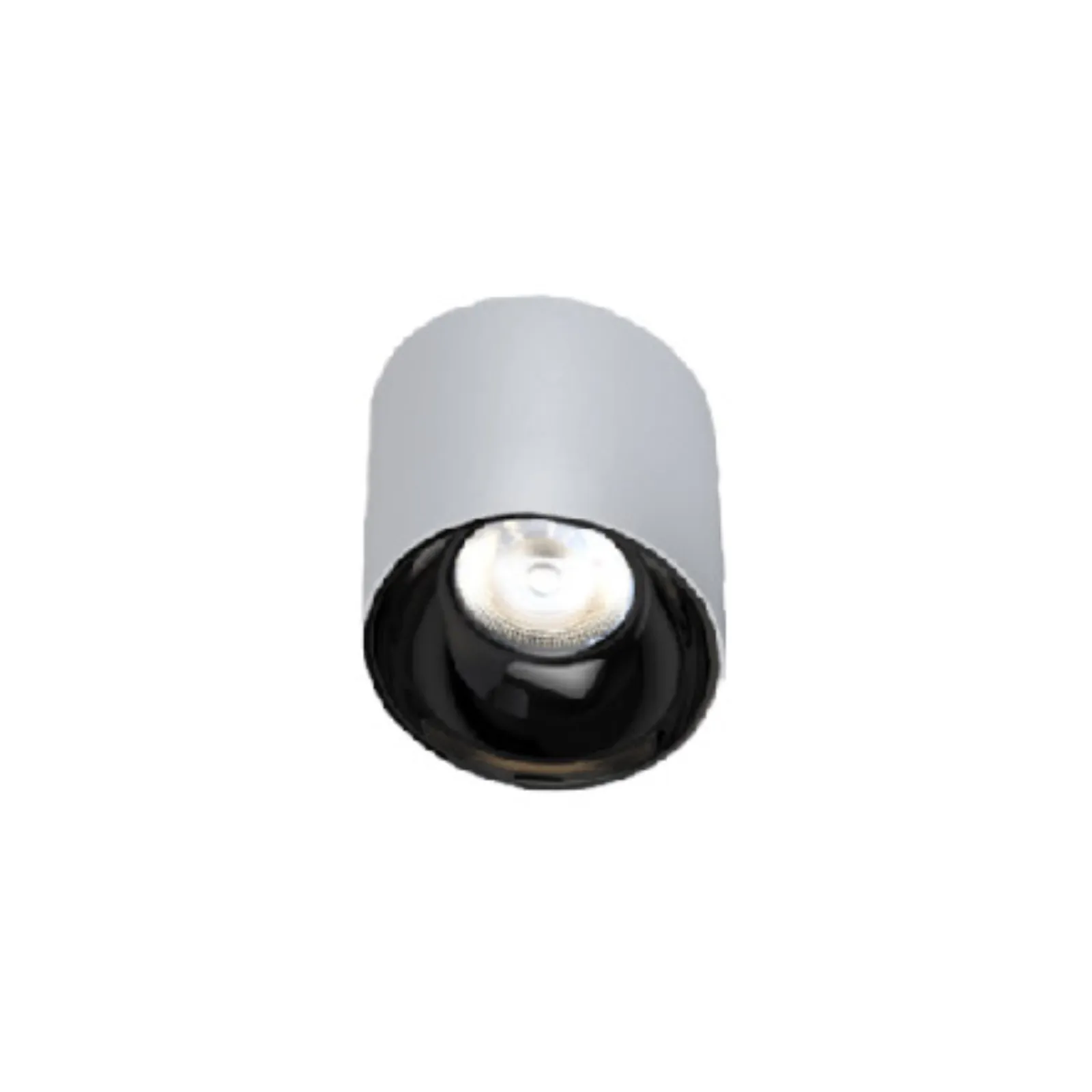 POLAR CEILING LIGHT